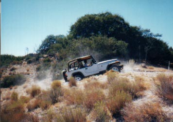 Trail riding