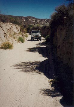 More trail riding