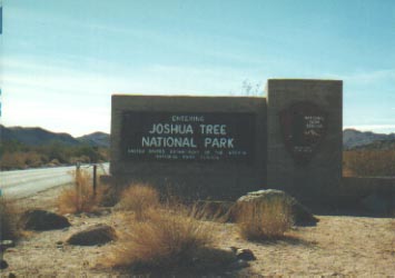 Joshua Tree NP