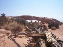 Mesa Arch