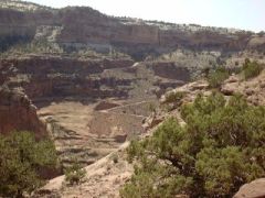 Shafer Trail